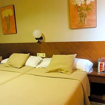 Hotel Avenida Requena